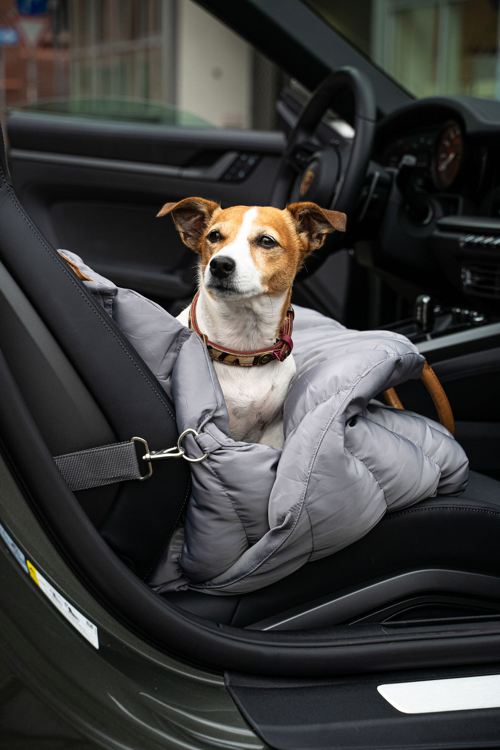 DuSaMe - Hundetragetasche Baily