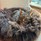 Sheep Donut Bed - Small (60cm) - Brown