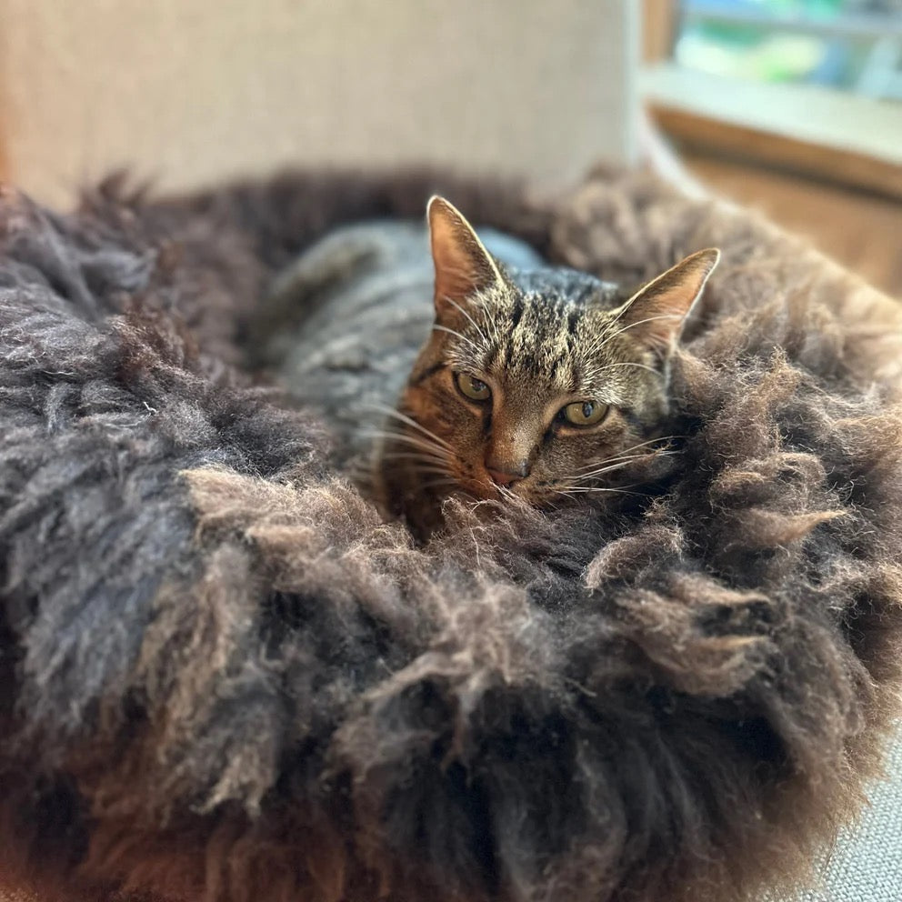 Sheep Donut Bed - Small (60cm) - Brown
