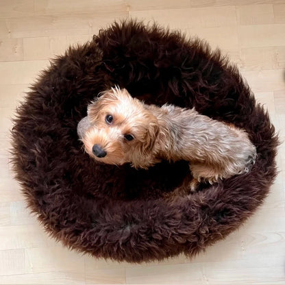 Sheep Donut Bed - Small (60cm) - Brown