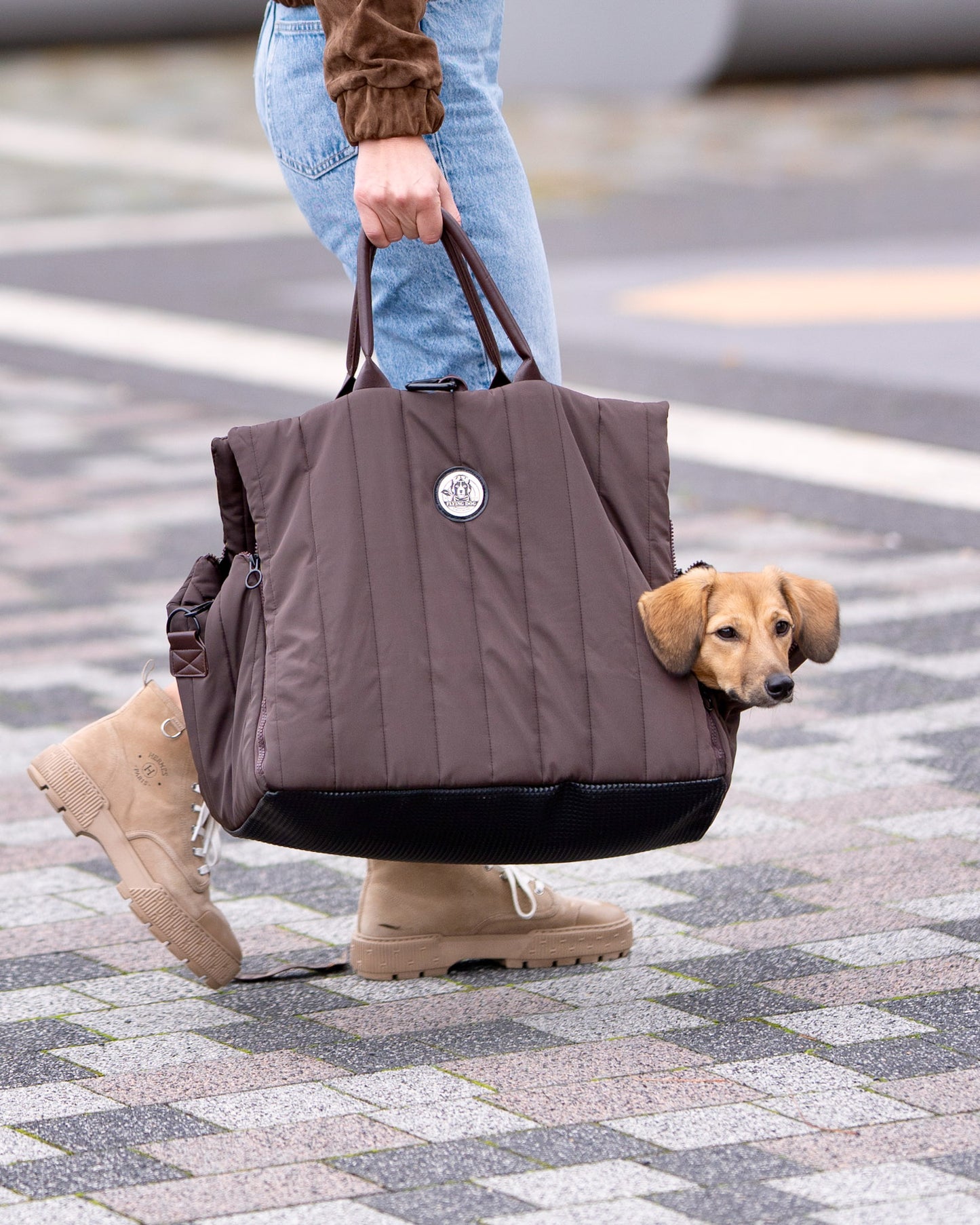 DuSaMe - Hundetragetasche - Donna - Braun