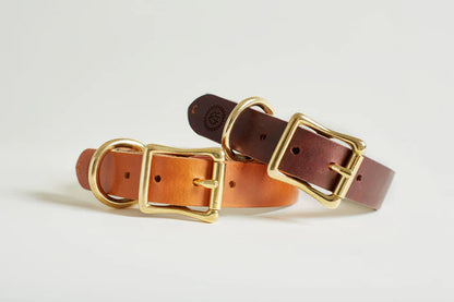 Collar Classic Cognac - L+ (36-42cm/2.5)