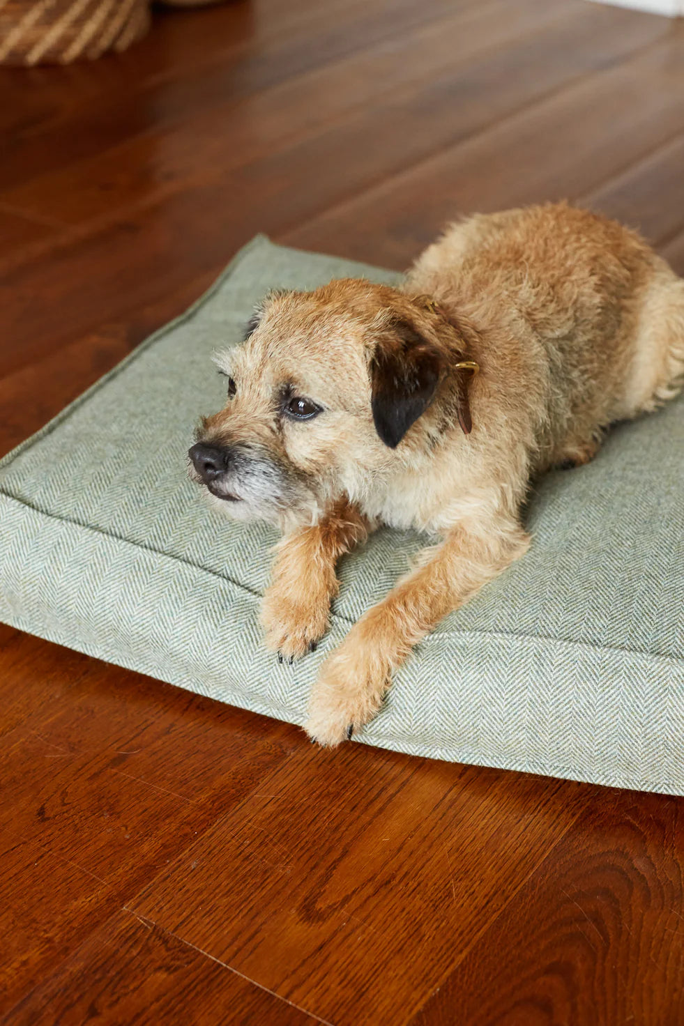 DOG BED TWEED HEATHER - Large