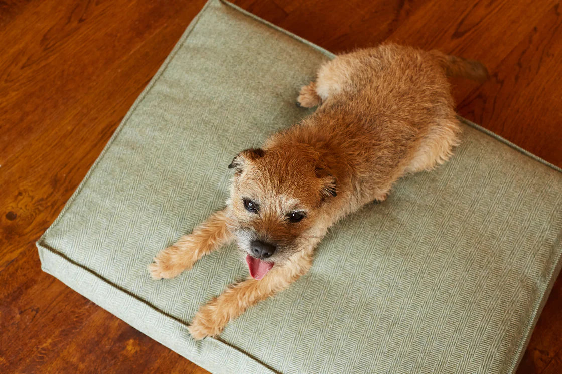 DOG BED TWEED HEATHER - Large