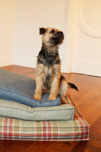 DOG BED TWEED BUGLE - Medium