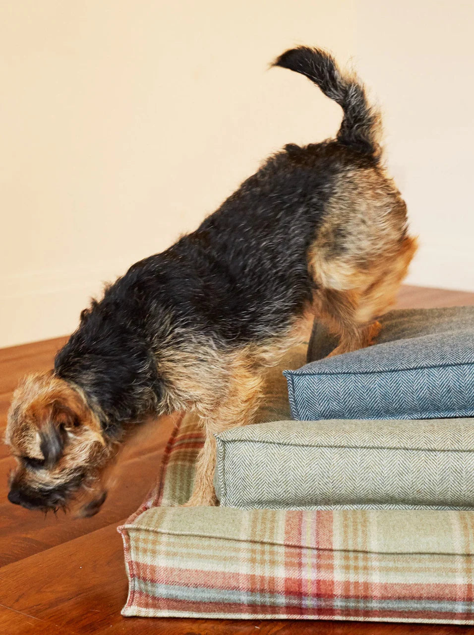 DOG BED TWEED BUGLE - Medium