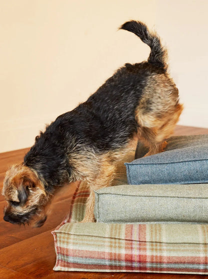 DOG BED TWEED BUGLE - Medium
