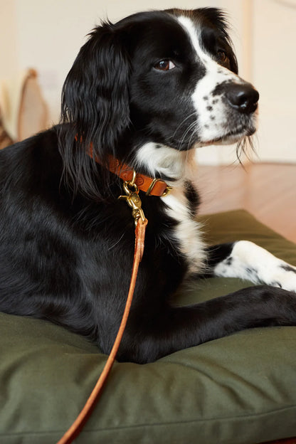 DOG LEAD CLASSIC Cognac (120cm / 1,5cm)