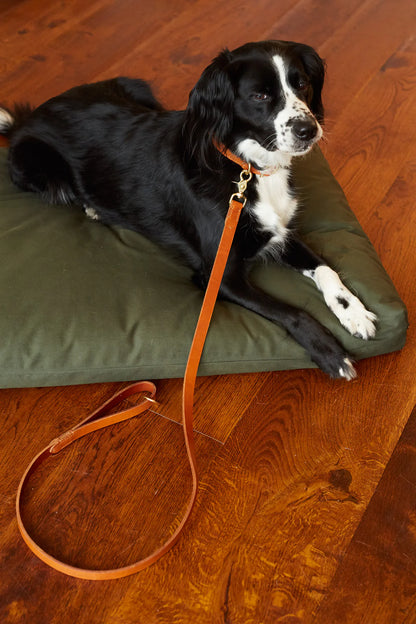 DOG LEAD CLASSIC Cognac (120cm / 1,5cm)