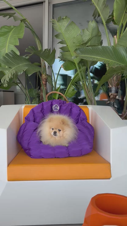 Hundetragetasche Jolie