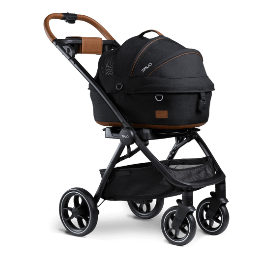 Buggy S