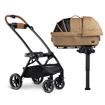 Buggy XL